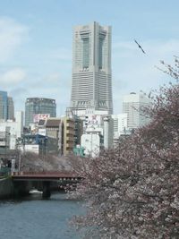 Yokohama_april