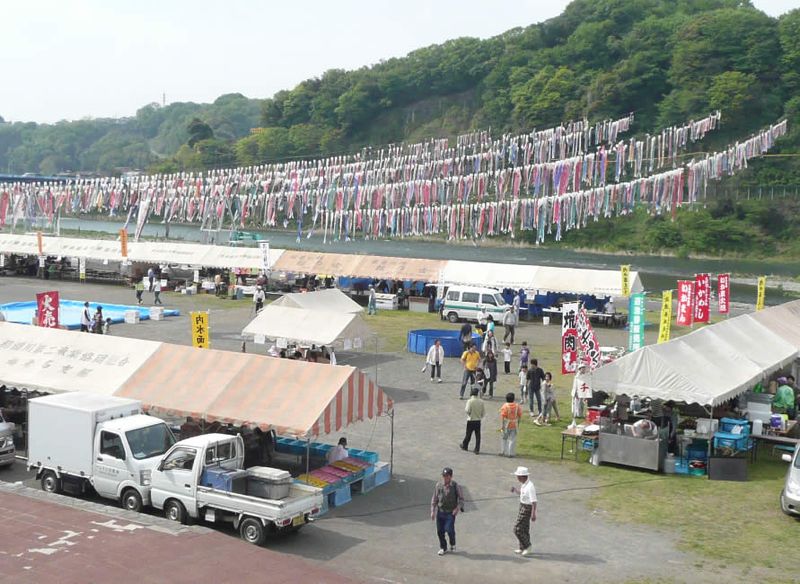 相模川の鯉のぼり5